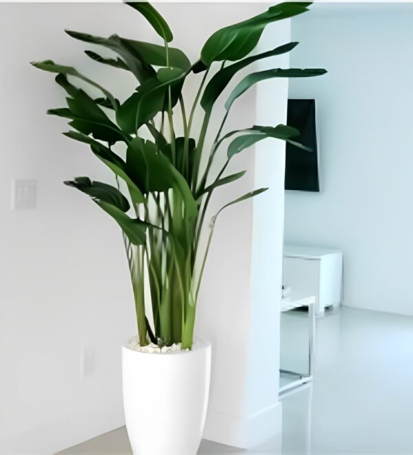 Artificial Plant