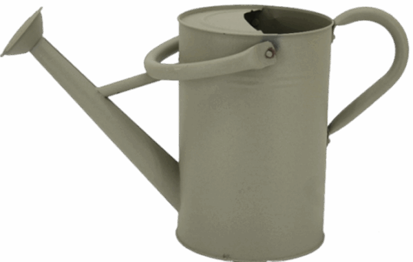 Watering Cane