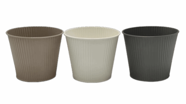 Plant Pot
