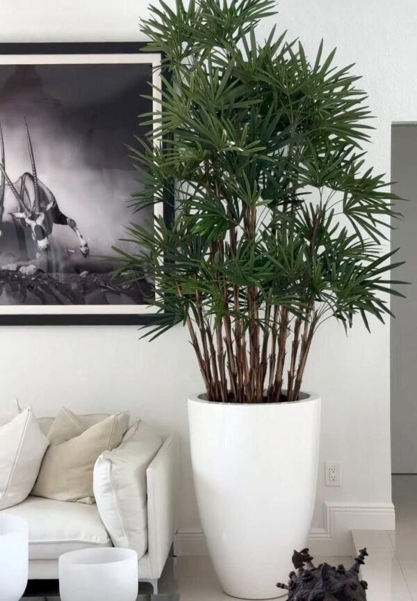 EcoBlend Fibra Pot
