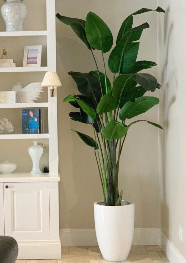 PE & Plastic & Fabric with Fiberglass Pot